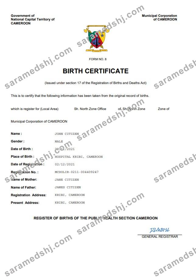 Cameroon vital record birth certificate Word and PDF template